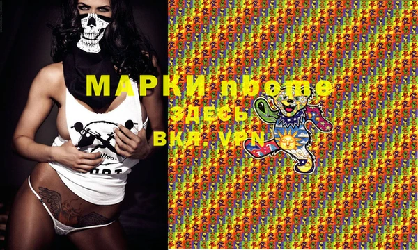 молекула духа Арсеньев