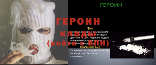 молекула духа Арсеньев