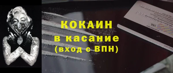 ГАЛЛЮЦИНОГЕННЫЕ ГРИБЫ Аркадак