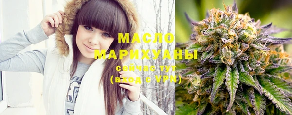 молекула духа Арсеньев