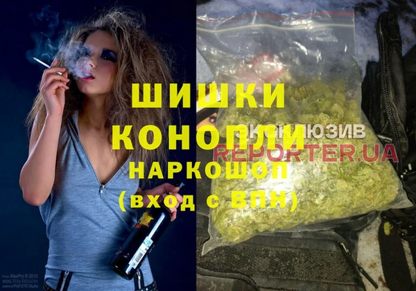 молекула духа Арсеньев