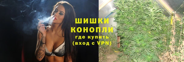ГАЛЛЮЦИНОГЕННЫЕ ГРИБЫ Аркадак