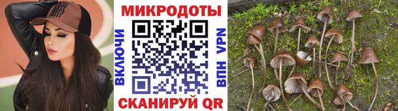 Галлюциногенные грибы ЛСД  Покров 